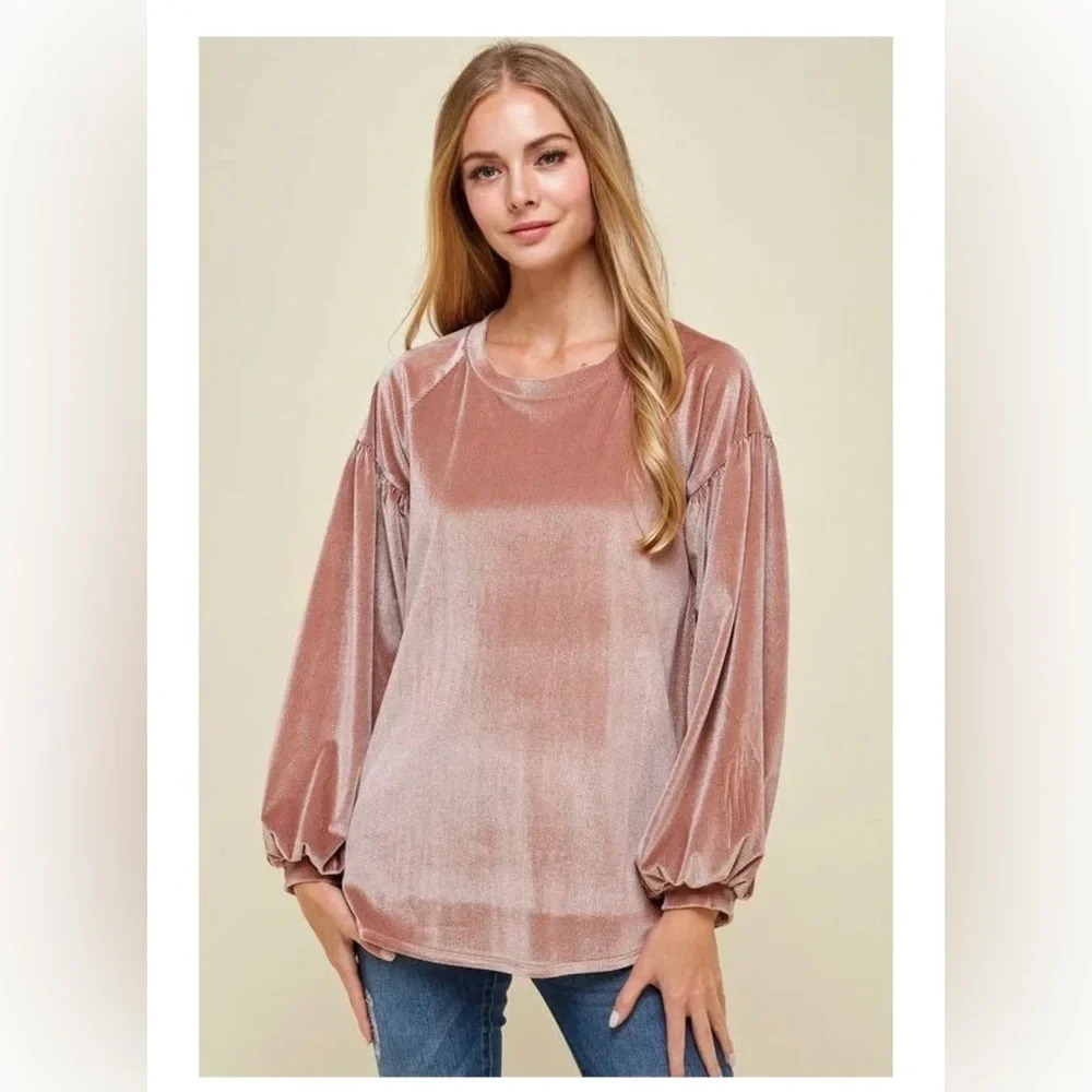 Les Amis Women’s Velveteen Thoughts Top/Blouse Mauve/Pink NWT Size Small
